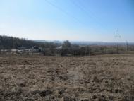 Зелений Гай з panoramio.com