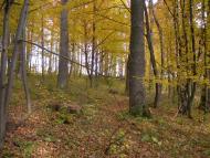 Великий Ключів з panoramio.com