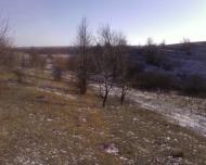 Синівка - Останні фото