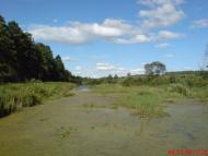 Курдюмівка з panoramio.com