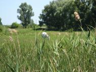 Малий Орчик з panoramio.com