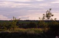 Раухівка з panoramio.com