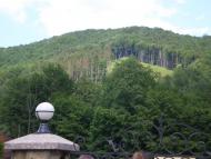 Ярок з panoramio.com