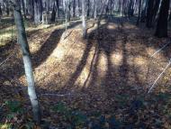 Климентовичі з panoramio.com