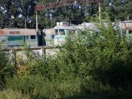 Мартинівка з panoramio.com