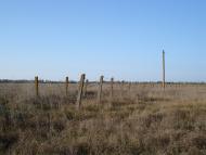 Леніна з panoramio.com