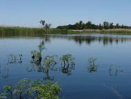 Малий Орчик з panoramio.com