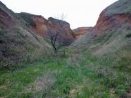Олександрівка з panoramio.com