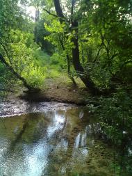 Білокриниця - Останні фото