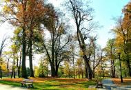 Липовець з panoramio.com