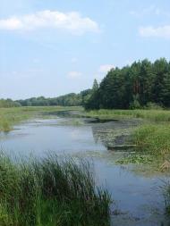 Іванків з panoramio.com