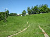 Добрин з panoramio.com