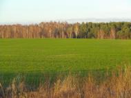 Мощена з panoramio.com