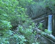 Пшеничники з panoramio.com