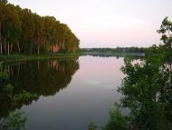 Рогощі з panoramio.com