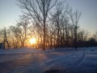 Пролетарське з panoramio.com