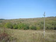 Кутківці з panoramio.com