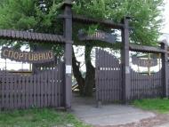 Патріотівка з panoramio.com