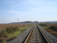 Дубівка з panoramio.com