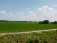 Капітанівка з panoramio.com