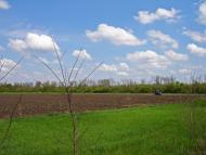 Вільний Посад з panoramio.com