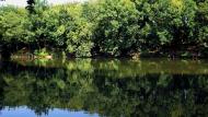 Маринівка з panoramio.com