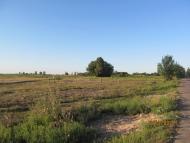 Пронозівка з panoramio.com