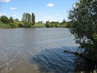 Новознам'янка з panoramio.com