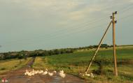 Раухівка з panoramio.com