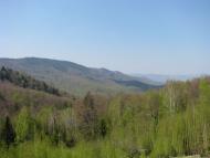 Яблунів з panoramio.com