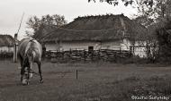 Сирники з panoramio.com - Сырники