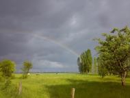 Чайківка з panoramio.com