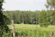 Улянівське - Останні фото