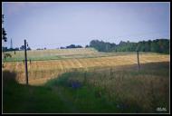 Бармаки з panoramio.com