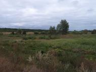 Вабля - Останні фото