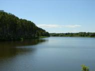 Рогощі з panoramio.com