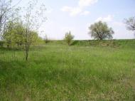 Райське з panoramio.com