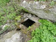 Борсуки з panoramio.com