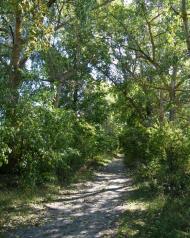 Покошичі - Останні фото