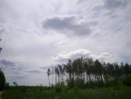 Карапиші з panoramio.com