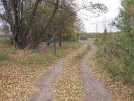 Підліснівка з panoramio.com