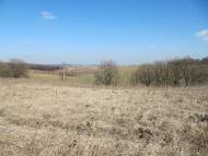 Зелений Гай з panoramio.com