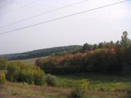 Волиця з panoramio.com