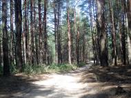 Стовп'яги з panoramio.com