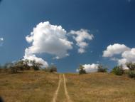 Шелюги з panoramio.com