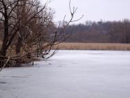 Скалівські Хутори з panoramio.com