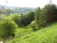 Рачинці з panoramio.com