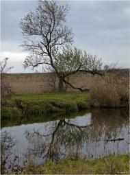 Широке з panoramio.com