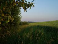 Городище з panoramio.com