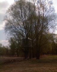 Надинівка з panoramio.com